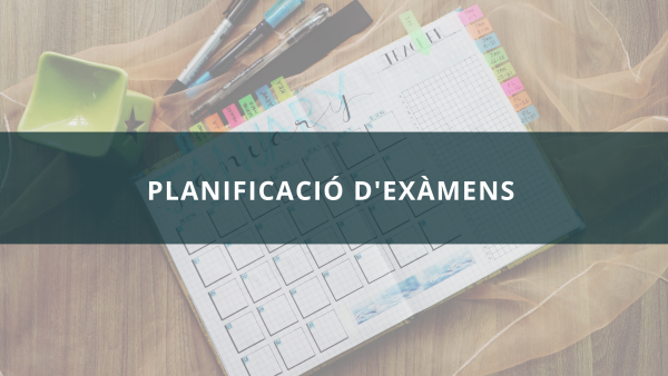Com planificar un examen