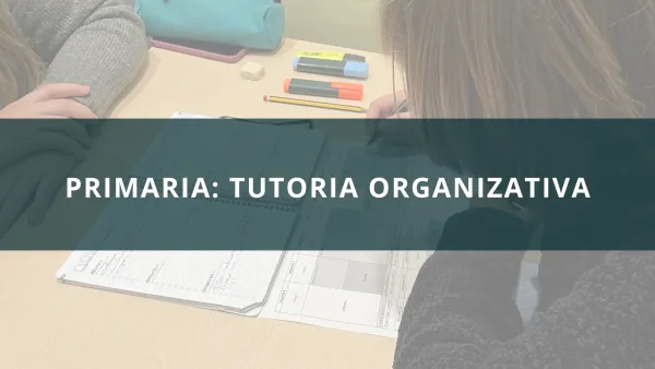 Primaria: Tutoria Organizativa